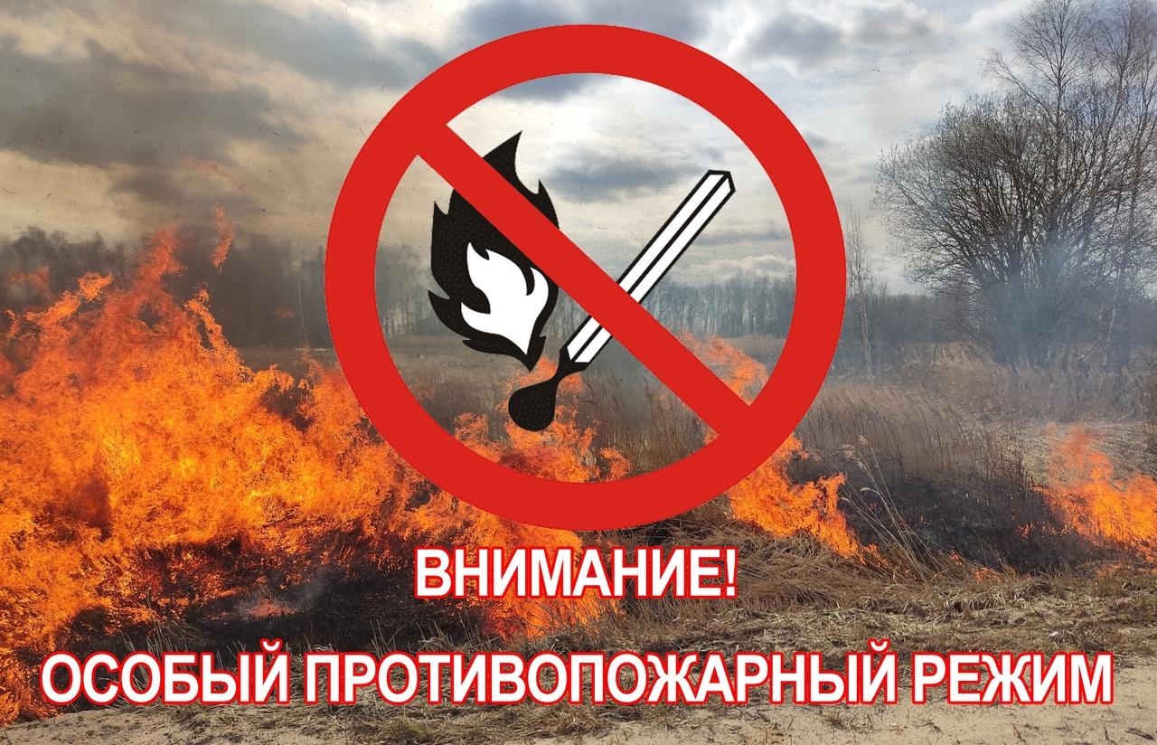 На территории региона действует особый противопожарный режим.