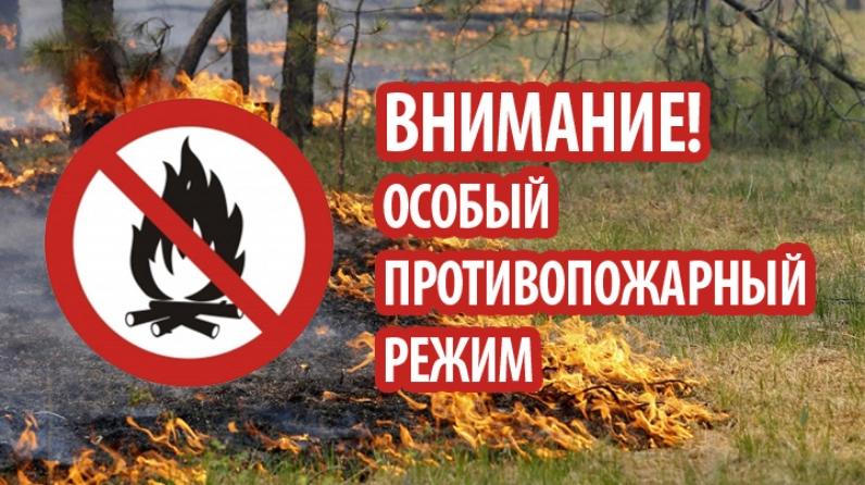 На территории региона действует особый противопожарный режим.